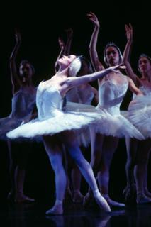 Click for San Fransico Ballet Homepage
