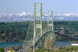 [Tacoma Narrows Bridge]